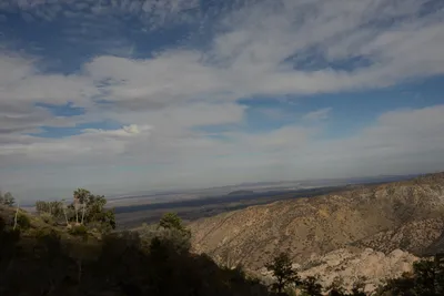 DSC_6295 (Large).JPG